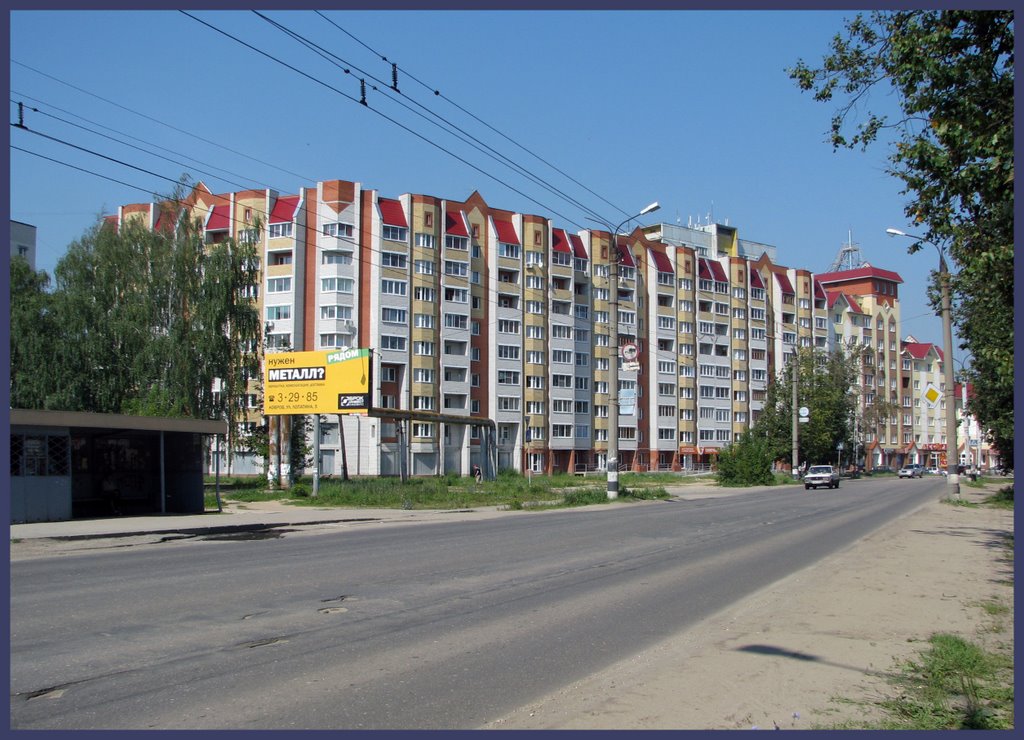 Ул.Грибоедова. "Дом напротив парка".