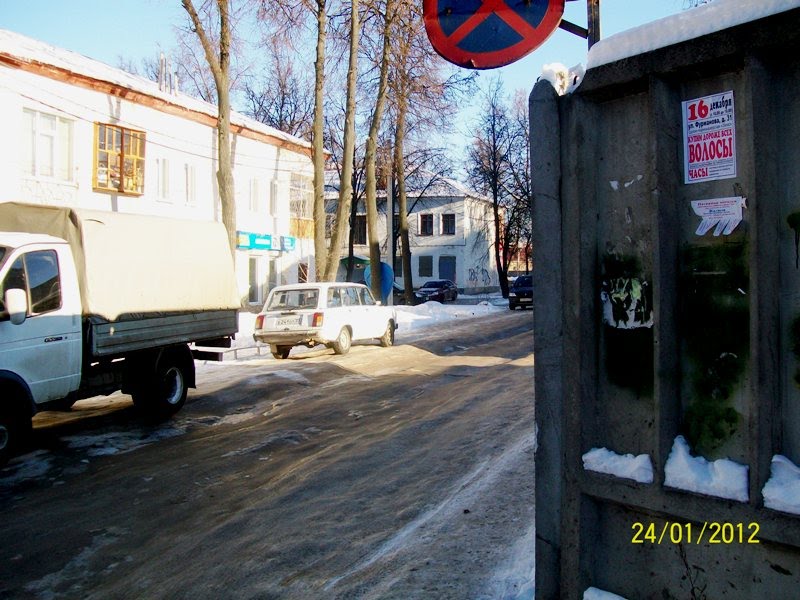 Волосы на заборе
