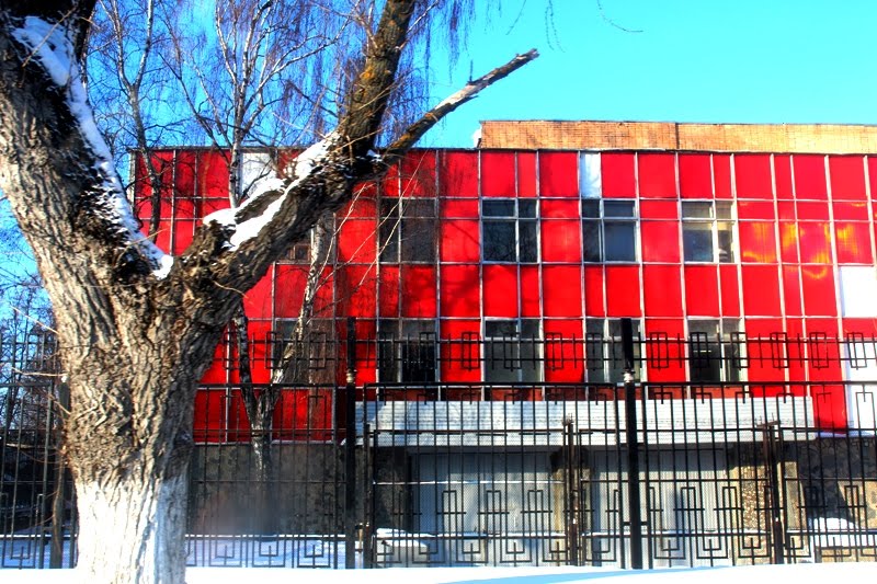 ЗиД