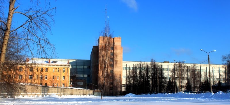 ЗиД
