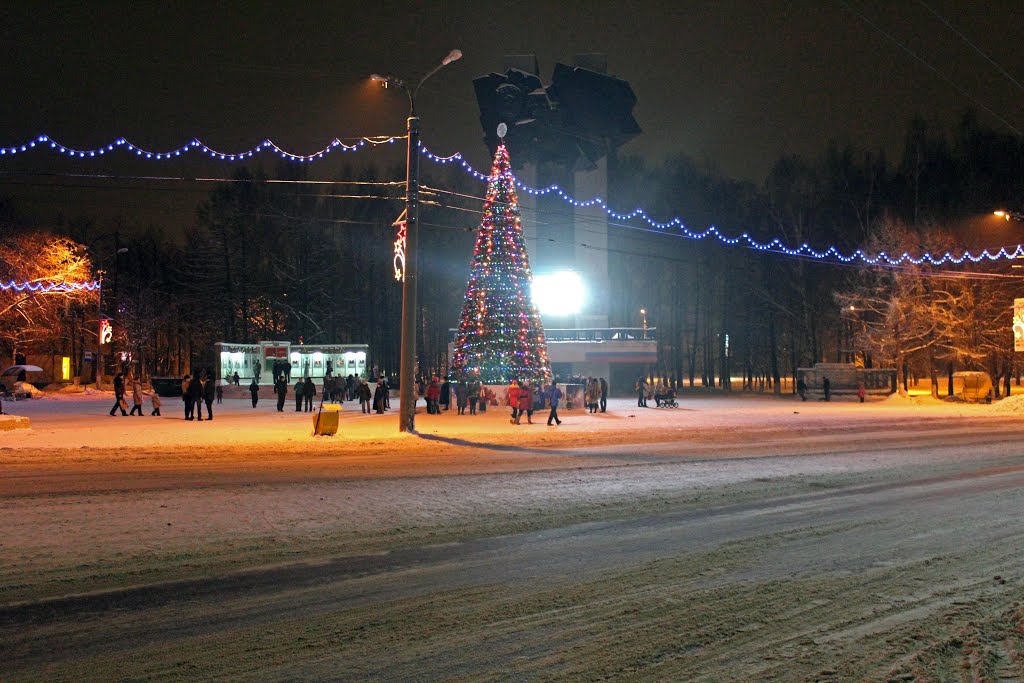 Ёлка 2013