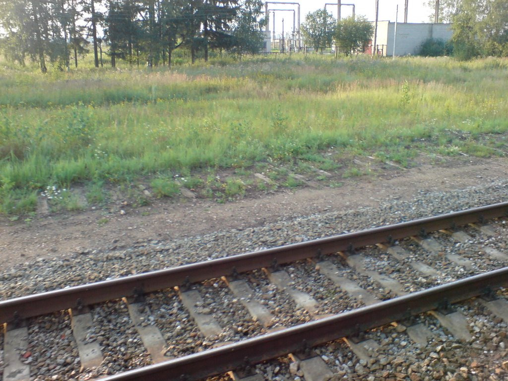 16.08.2008