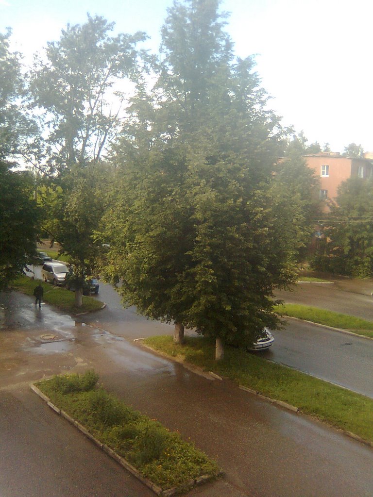 лето после дождя