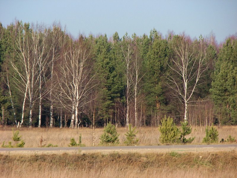 Объездная Дорога (The Road)