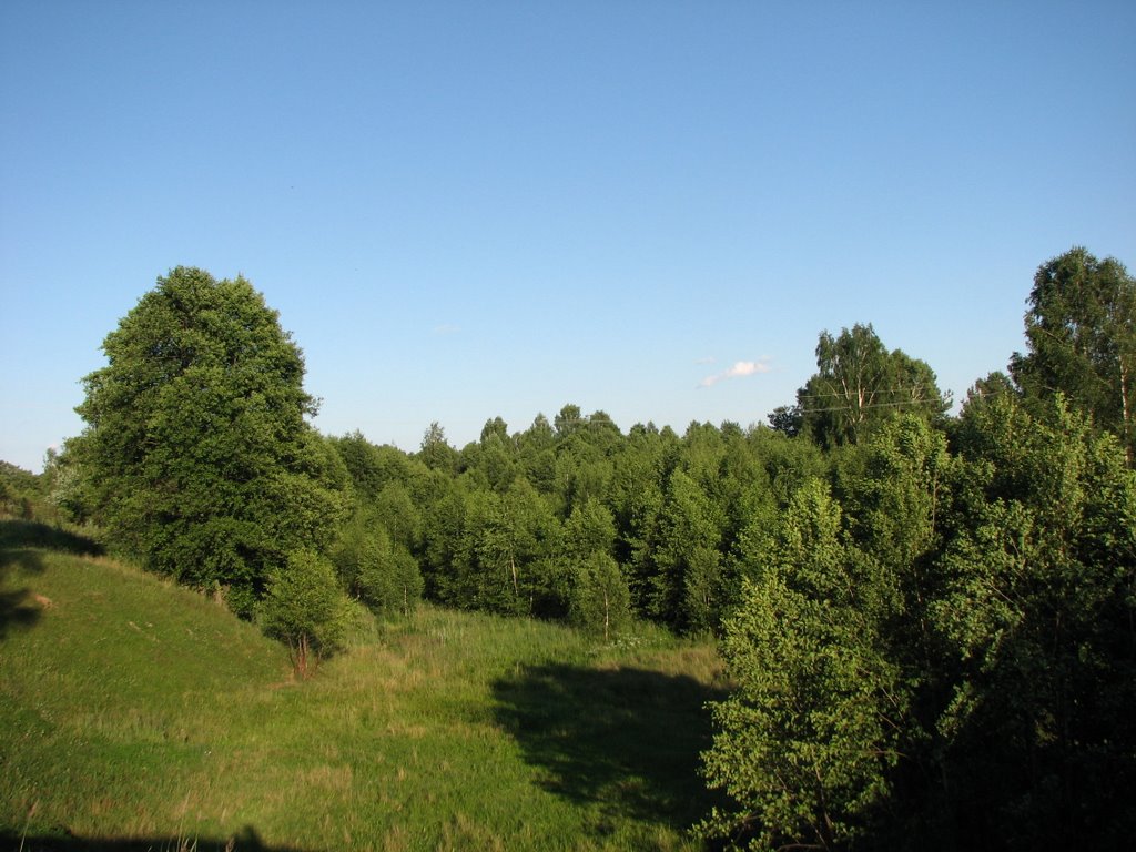 Гусев овраг