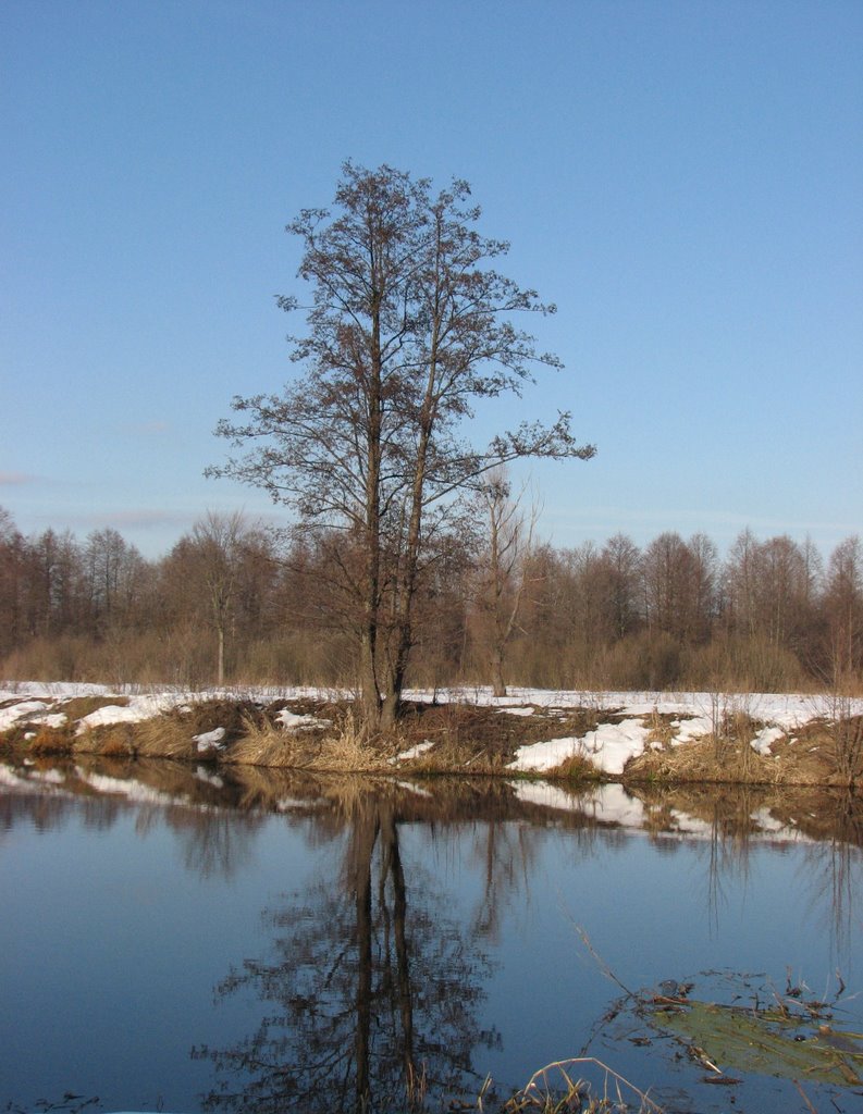 Весна (Spring)