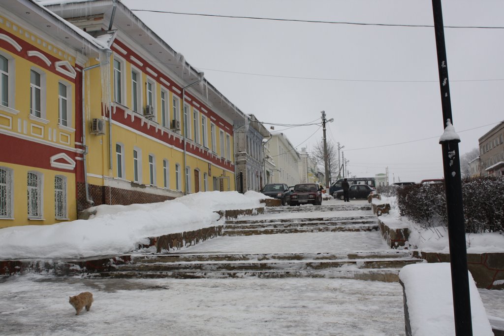Администрация и киса