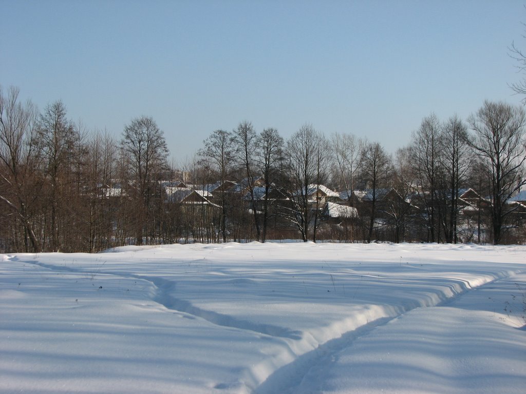 Зима (Winter)