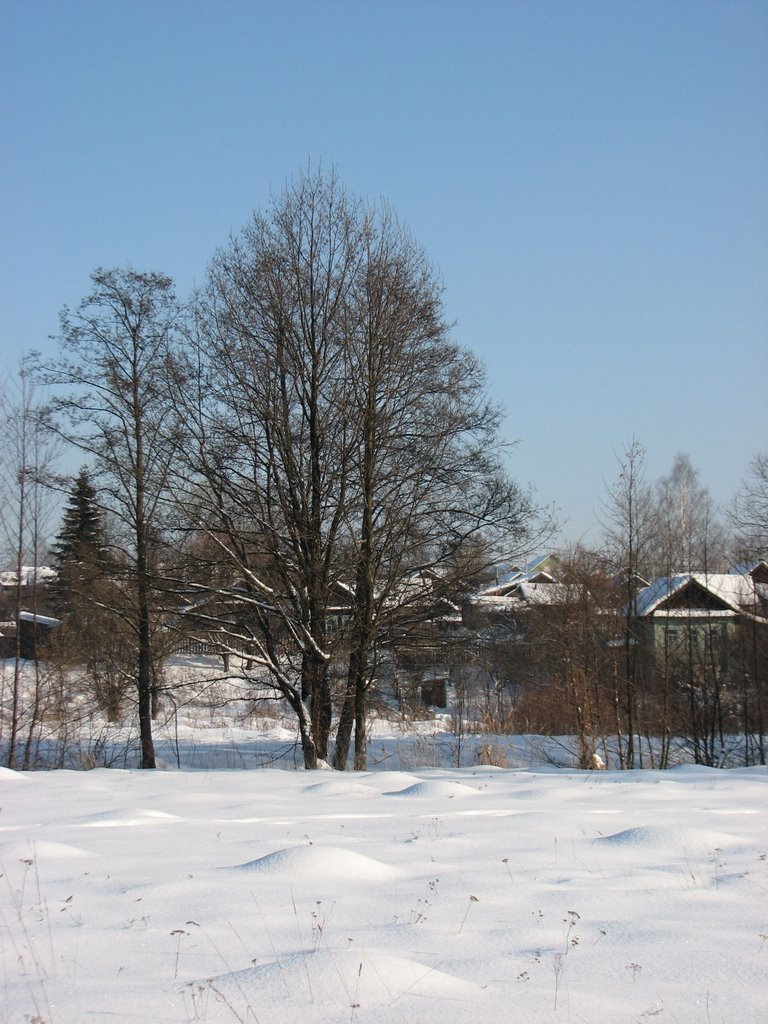 Зима (Winter)