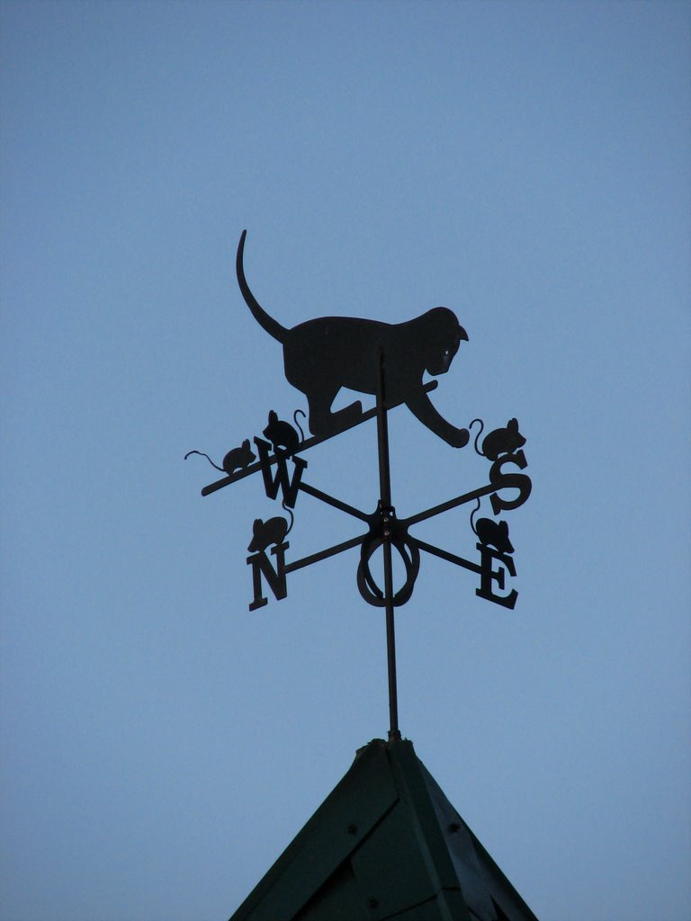 Котофлюгер (Cat Weather-Vane)
