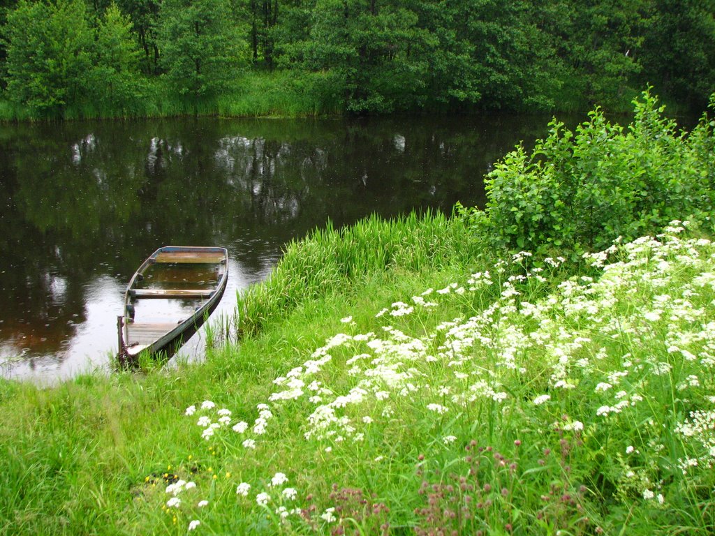 Дождливый день на Реке (Rainy day on the River)
