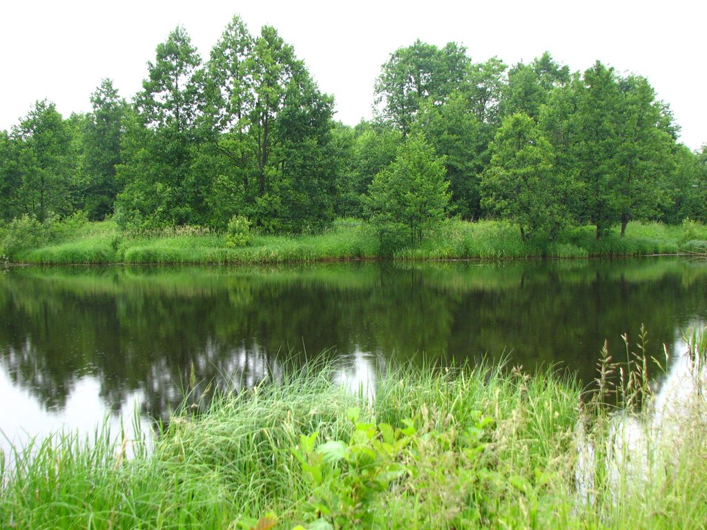 Река Унжа (Unzha River)