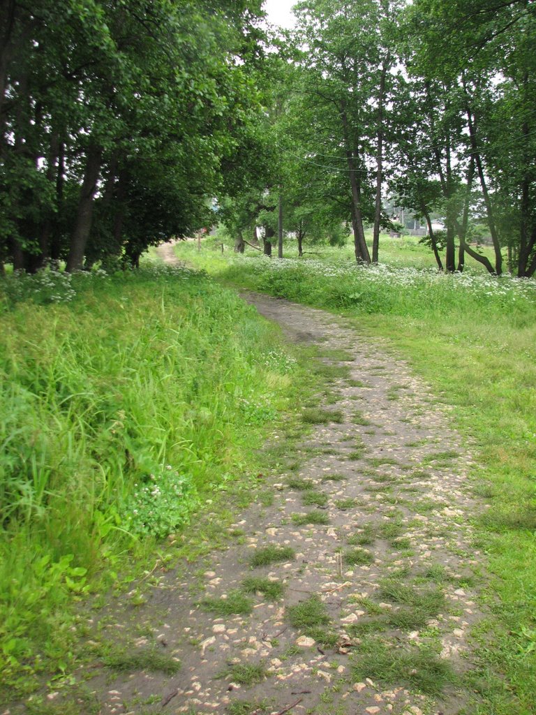 Тропа (Trail)