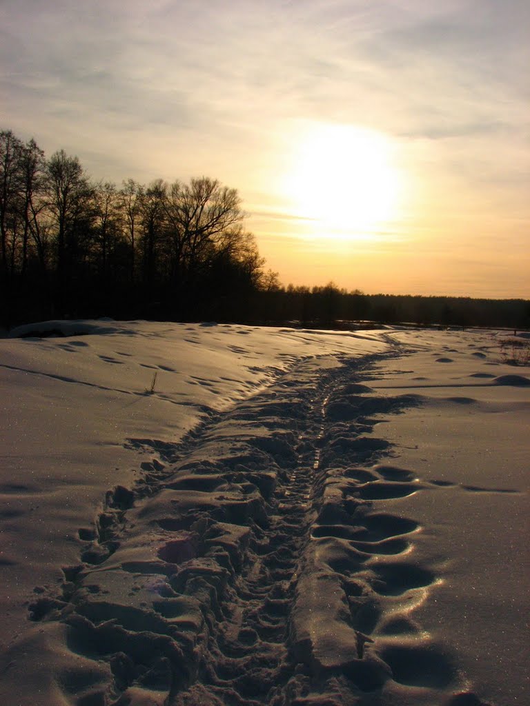 Февральский закат (February sunset)
