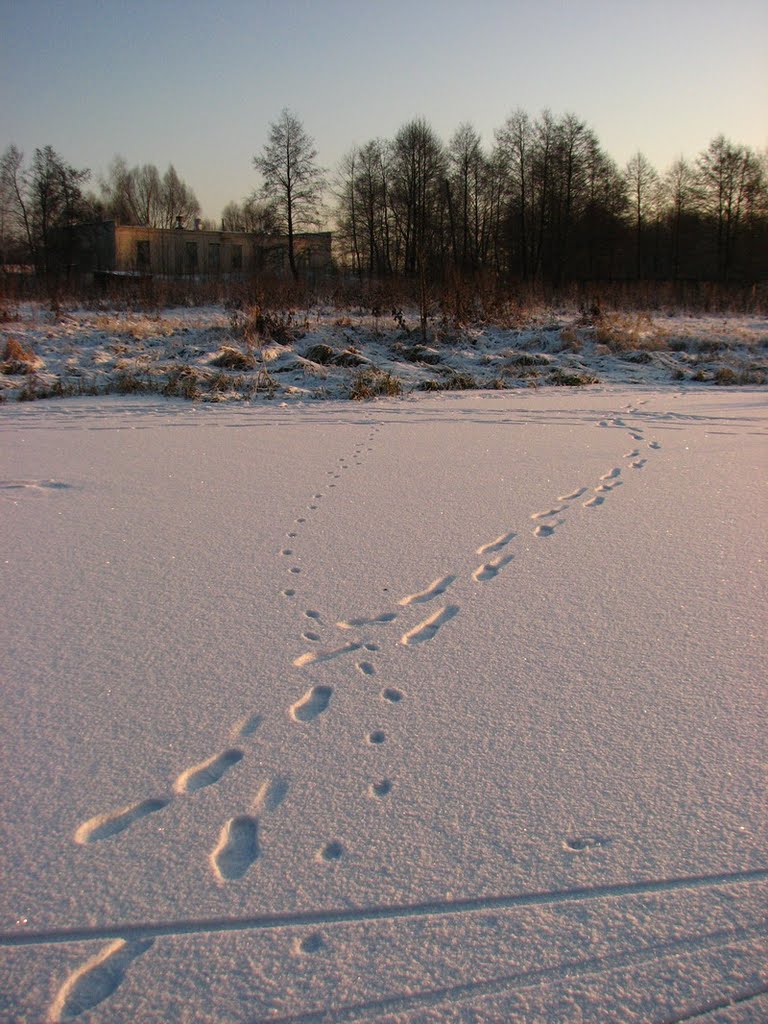 Следы (Footsteps)
