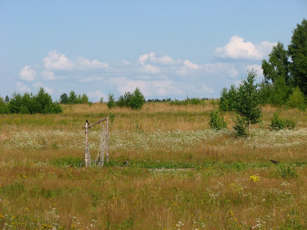 Лето (Summer)