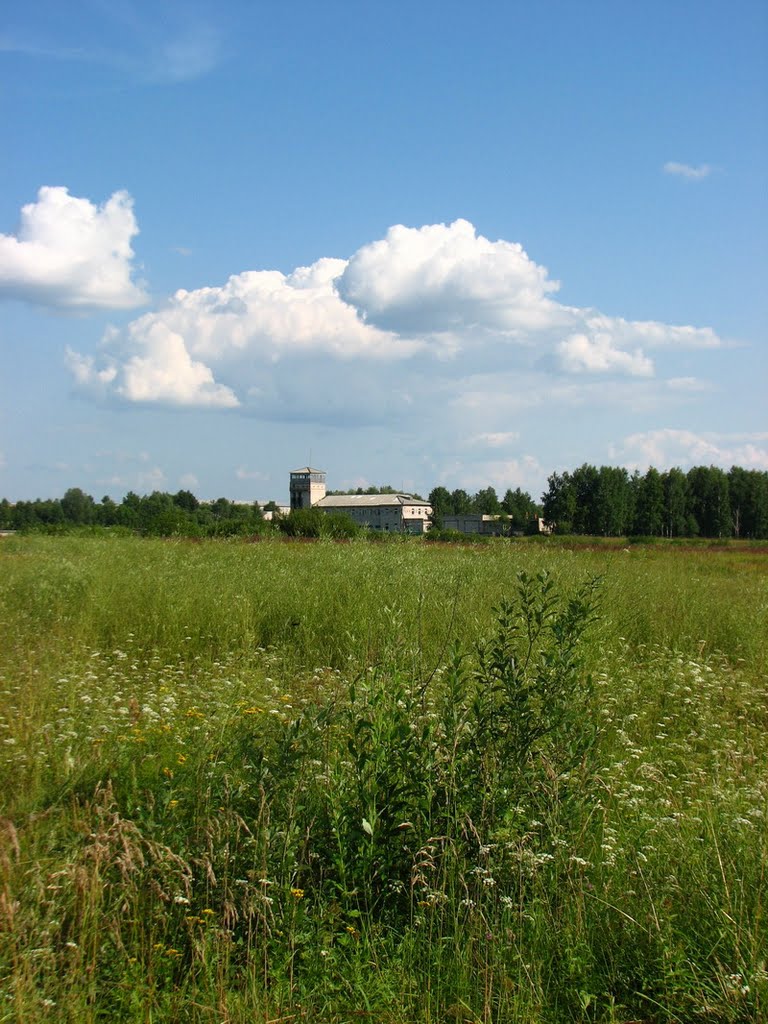 Летний пейзаж (Summer landscape)