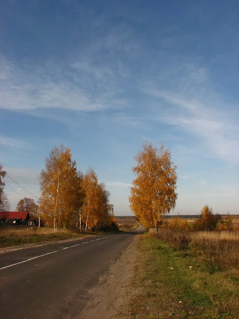 По Лужинской дороге (On the Luzhinskaya road)
