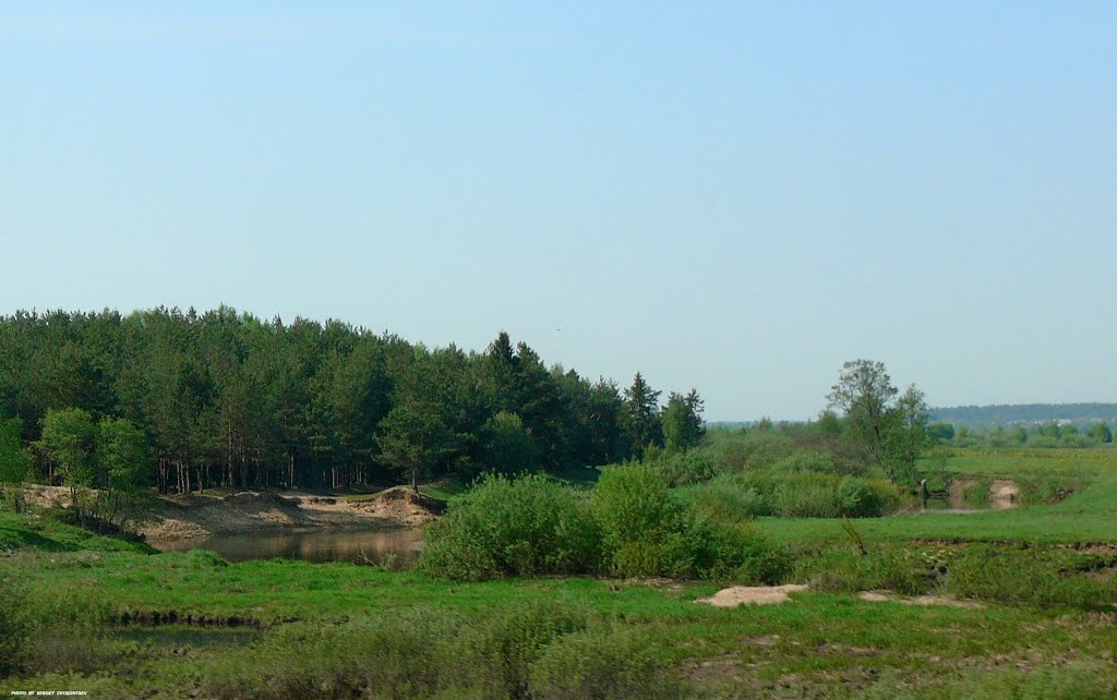 Россия. Владимирская область. Russia. Vladimir region.