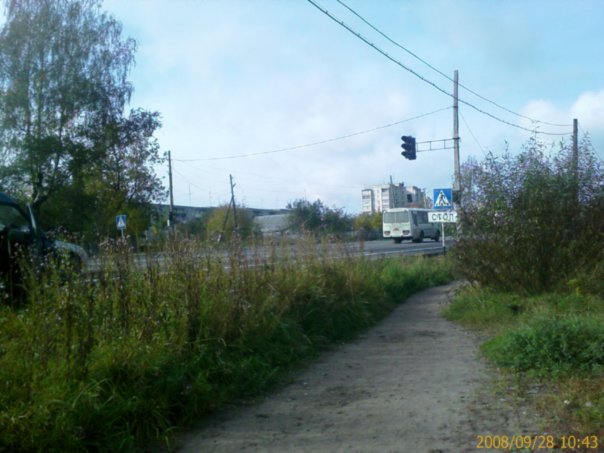 Петушки