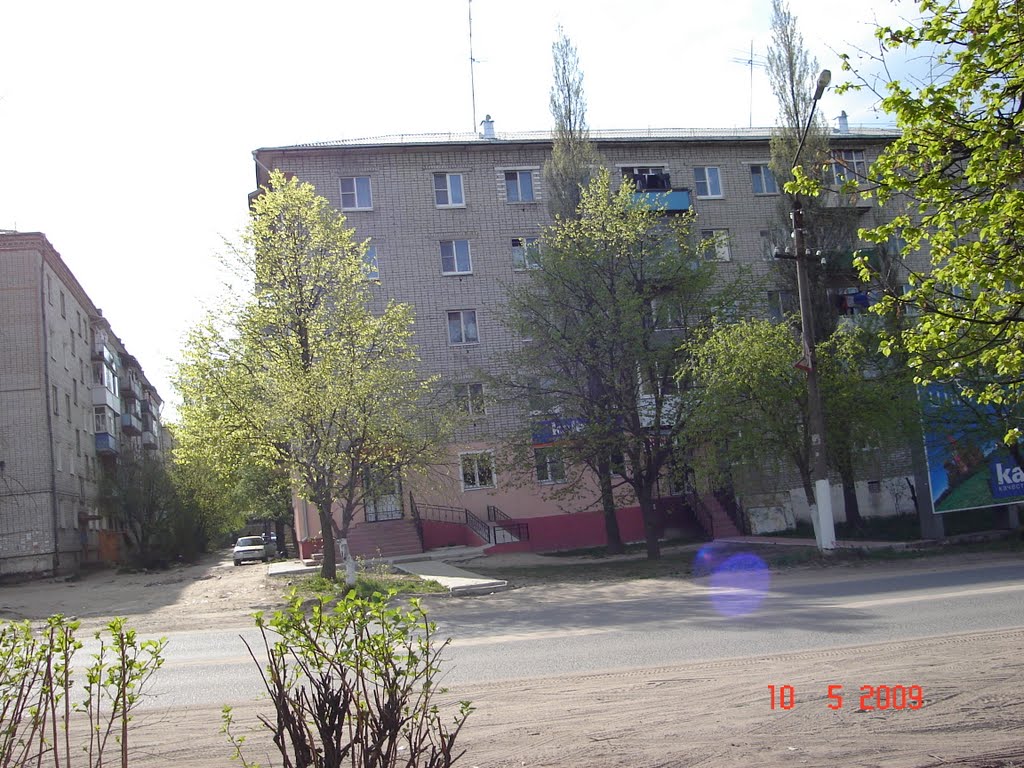 Маяковского 29