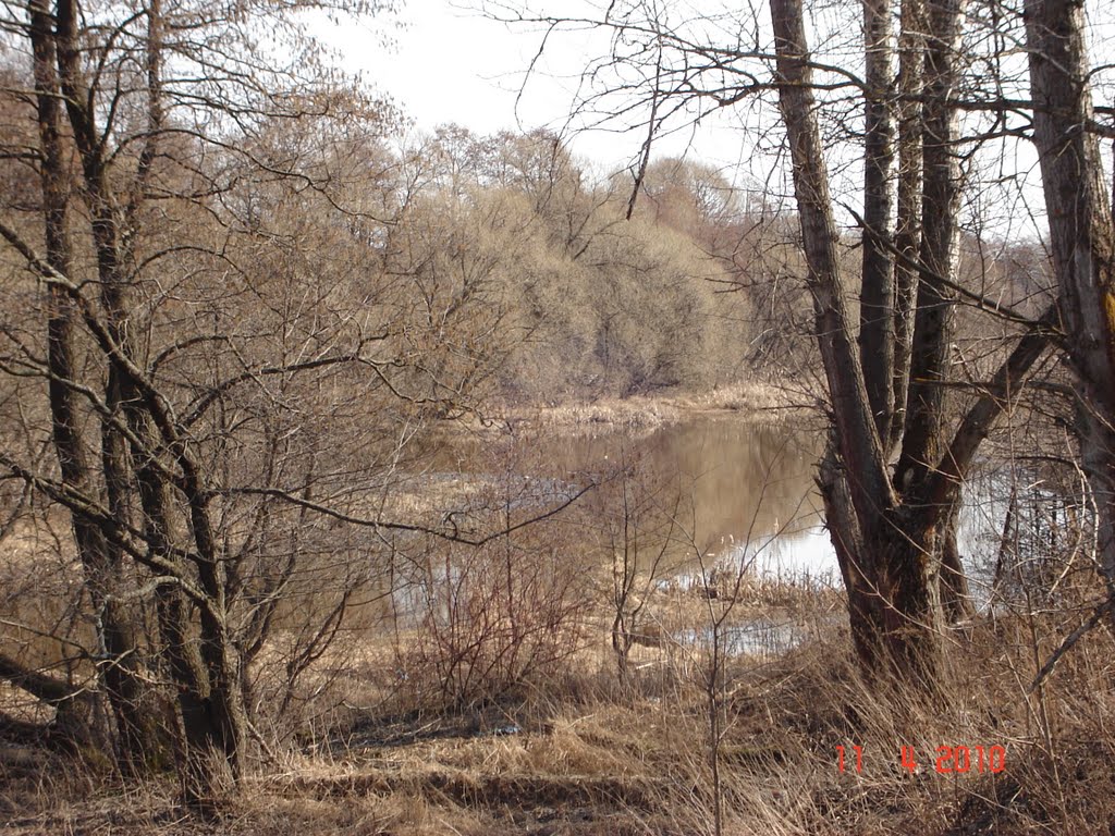 Речка Берёзка