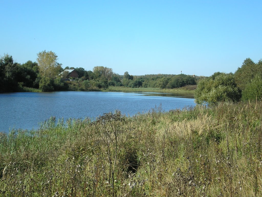 Плотина на Березке