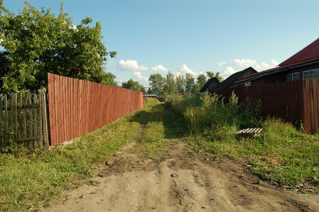 Vladimirskaya str. (ул. Вадимирская)