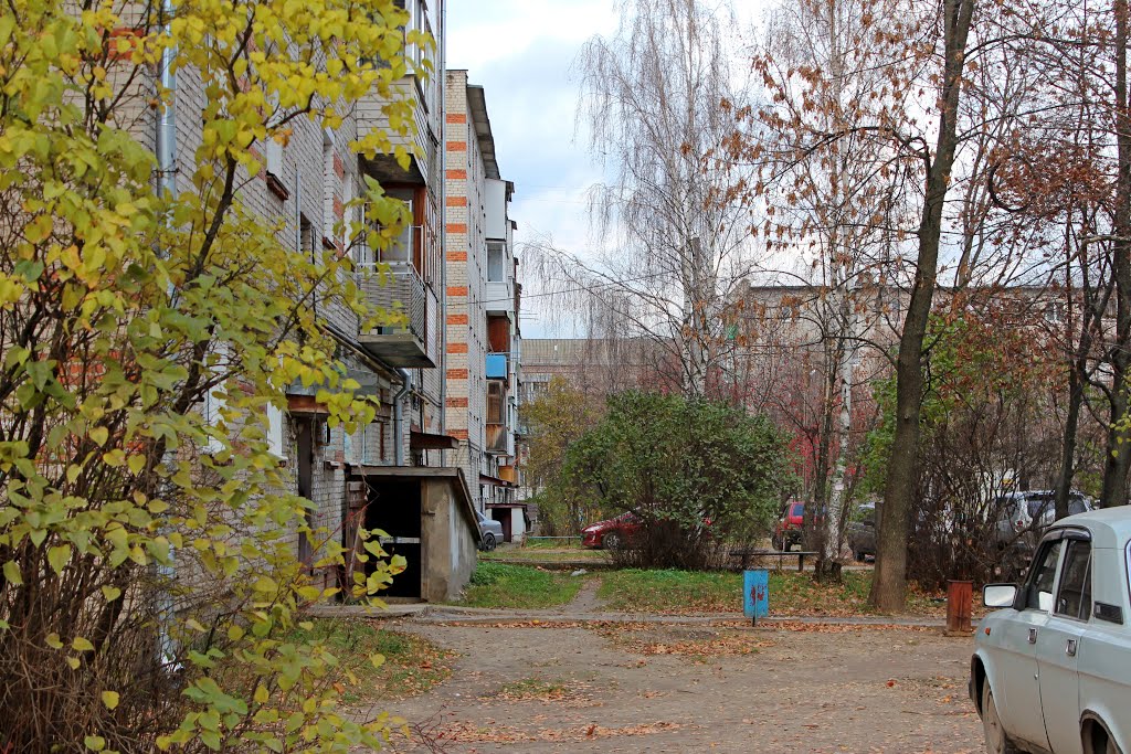 Маяковского 21
