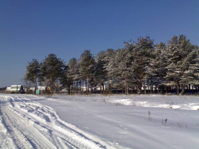 Дорога Покров - Глубоково, Владимирская область 1 марта 2007