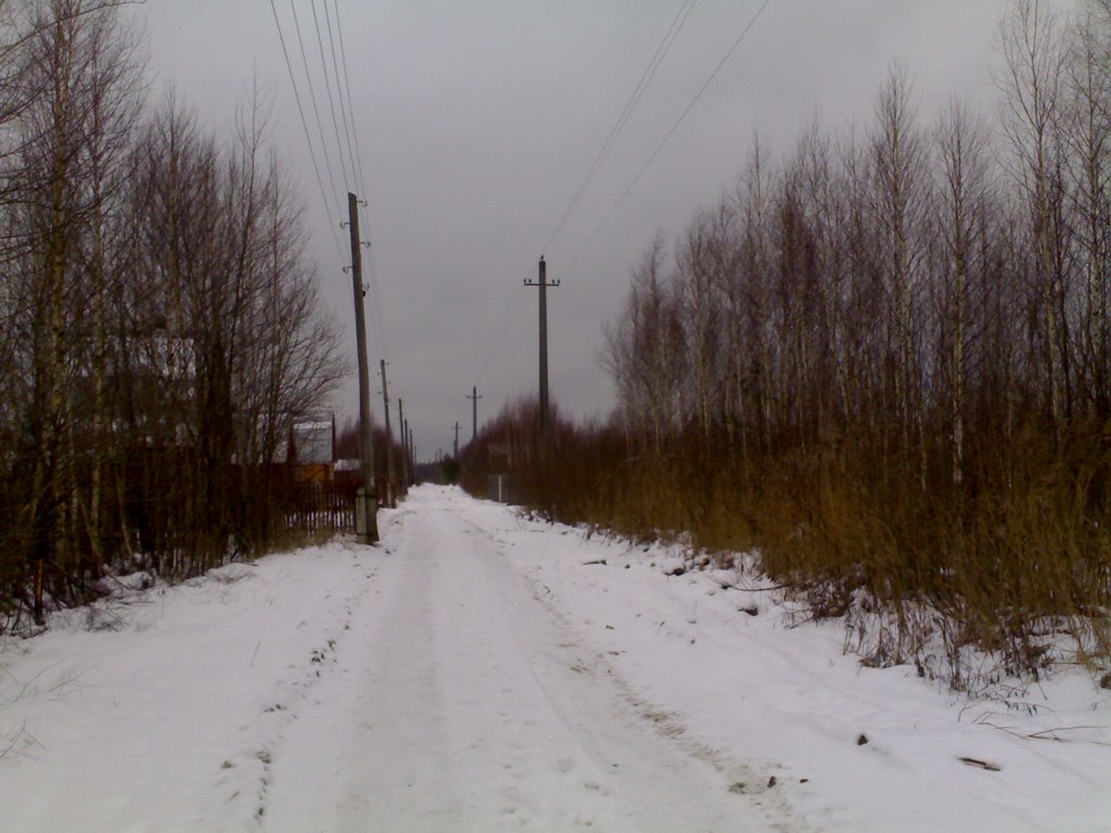 Центральная дорога С/Т Покровчанин 1 января 2007