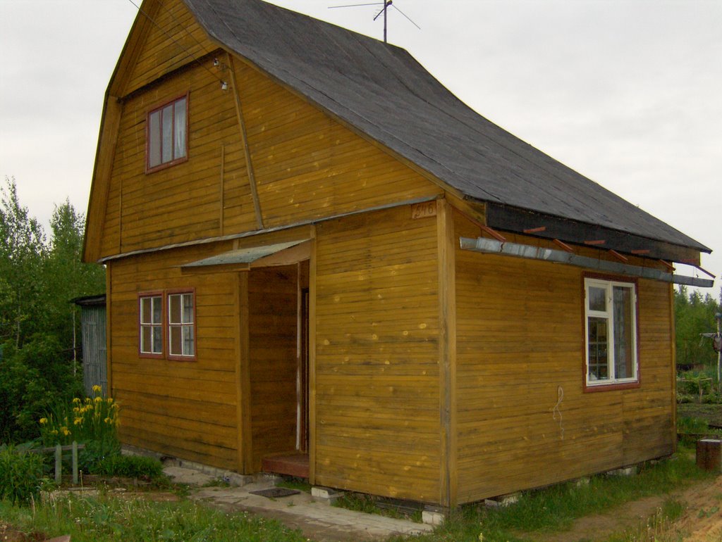 №546