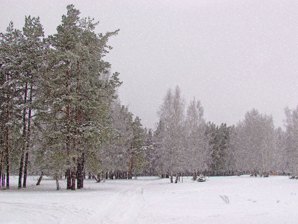 Замело