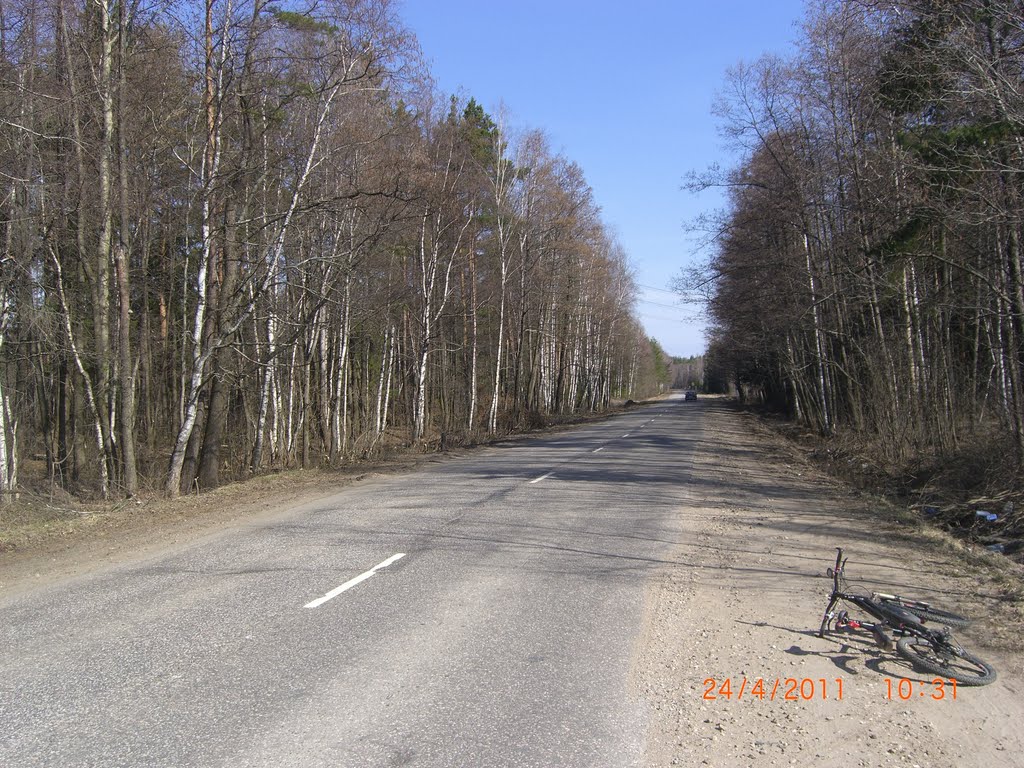 Хорошая дорога