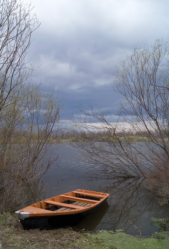 Разлив