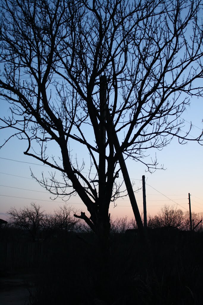 Evening in Muromtsevo. Vladimir reg. Russia. Вечер в Муромцево. Владимирская обл. Россия