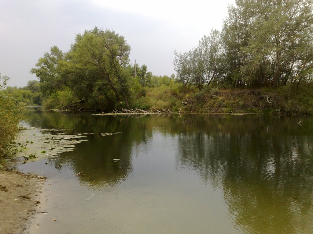 am Fluss Ilovlja