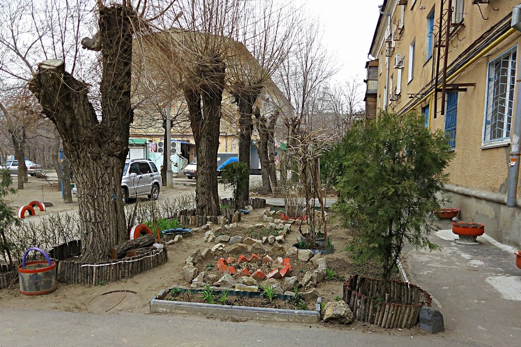 Клумба.