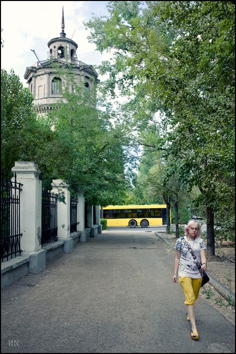 yellow on yellow