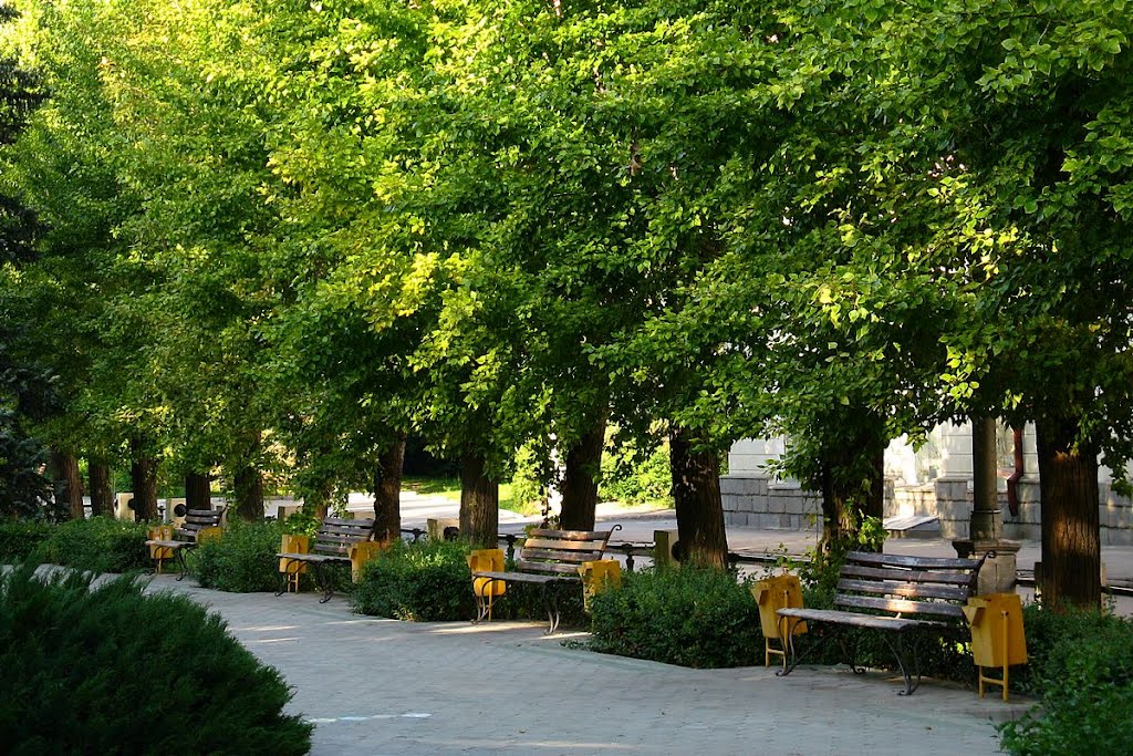 Аллея улицы Фонтанной. Alley Street Fountain.