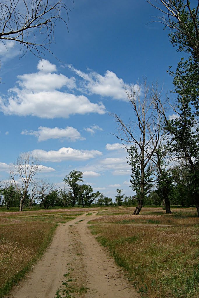Дорога с озера. The road to the lake.