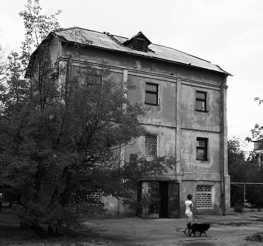 Старая мельница. The Old Mill.