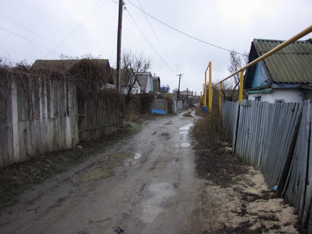 Улица имени Пассара
