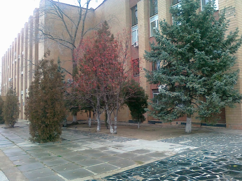 65 Городище