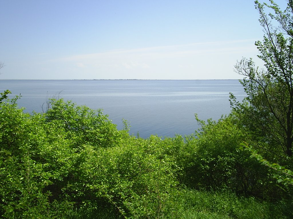 вид на море из Дубовки