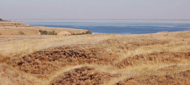 Степь. (Steppe)