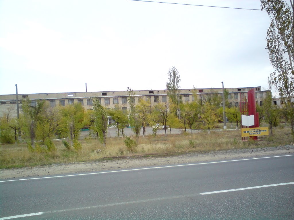 Вет. колледж