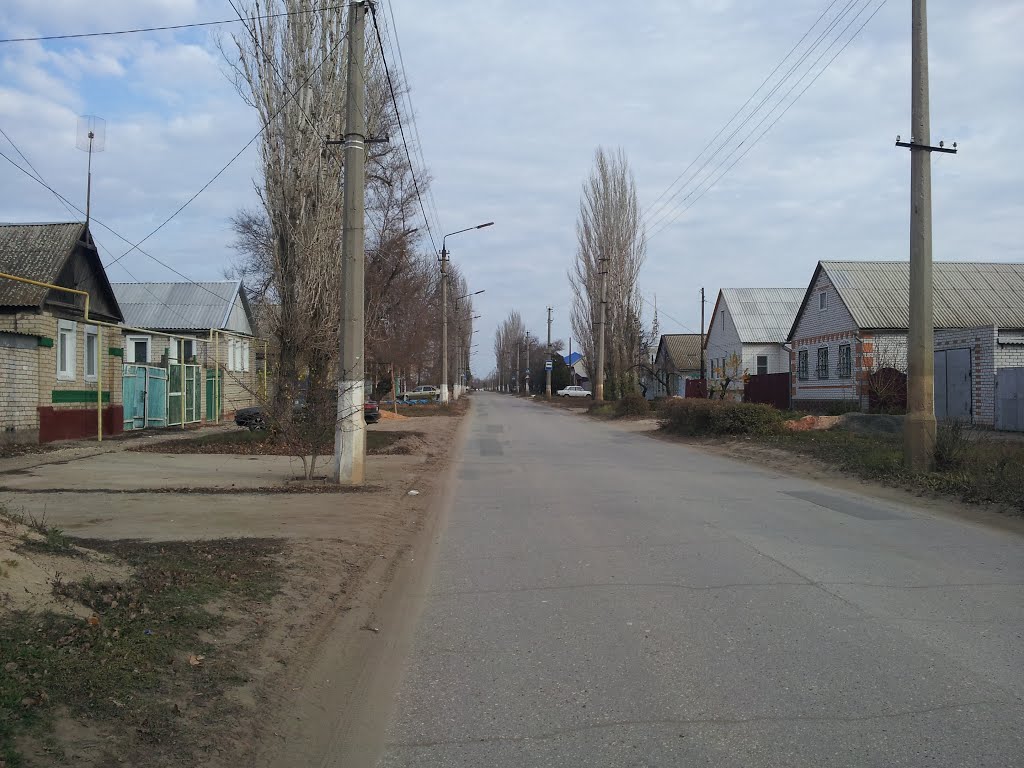 Улица им. В.И. Ленина, г. Дубовка
