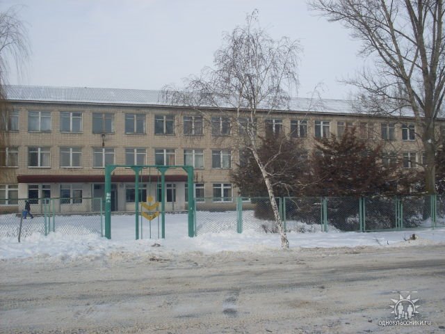 Школв № 3