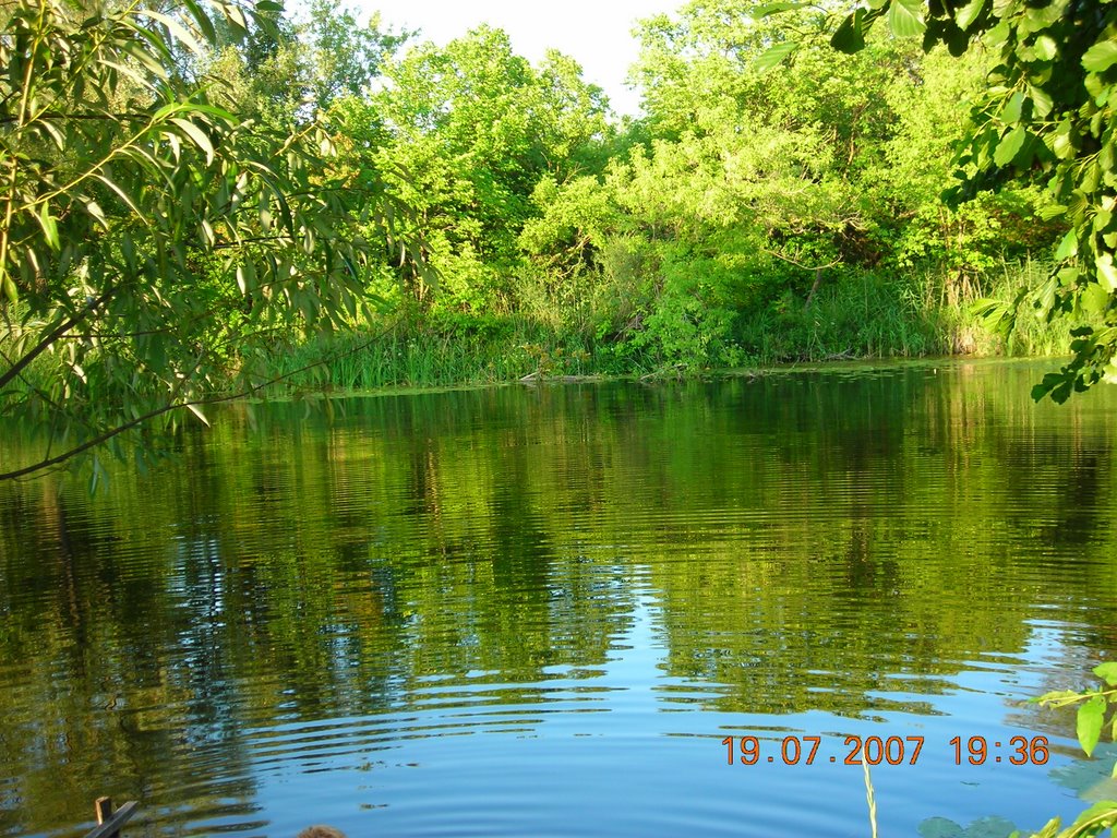 р. Терса